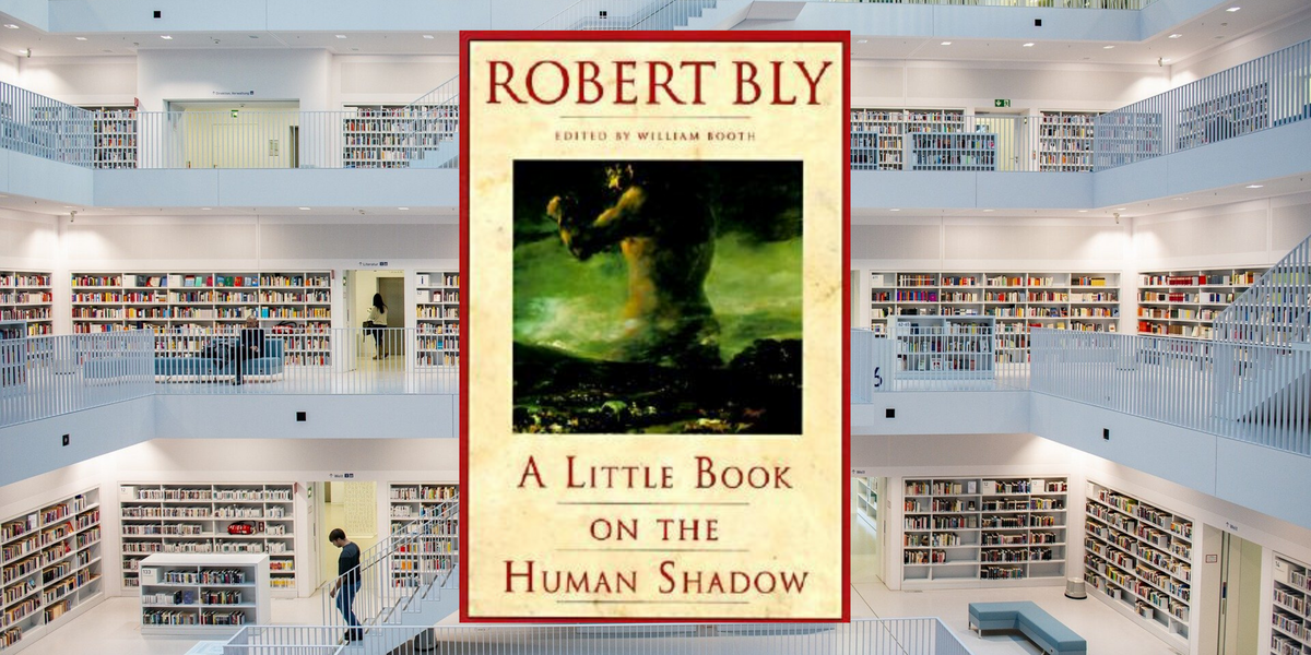 A Little Book on the Human Shadow, by Robert Bly