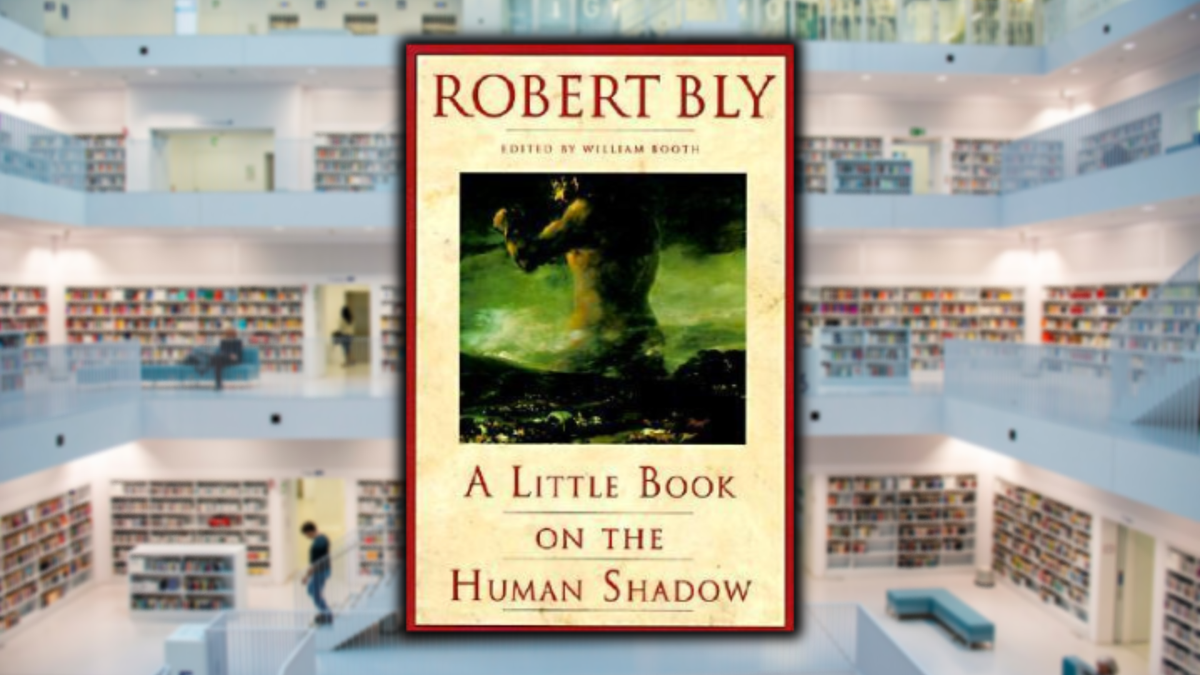 A Little Book on the Human Shadow, by Robert Bly