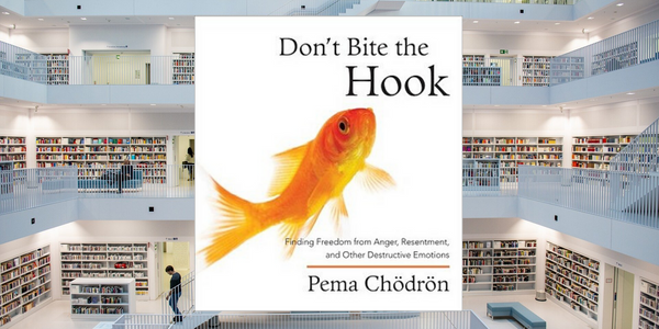 Don’t Bite the Hook, by Pema Chodron